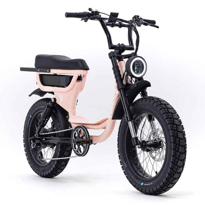 The Harlem Fat Wheel E-Bike