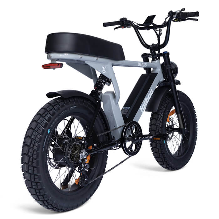 Fatboy electric two seater ebike Bagus Grey Back