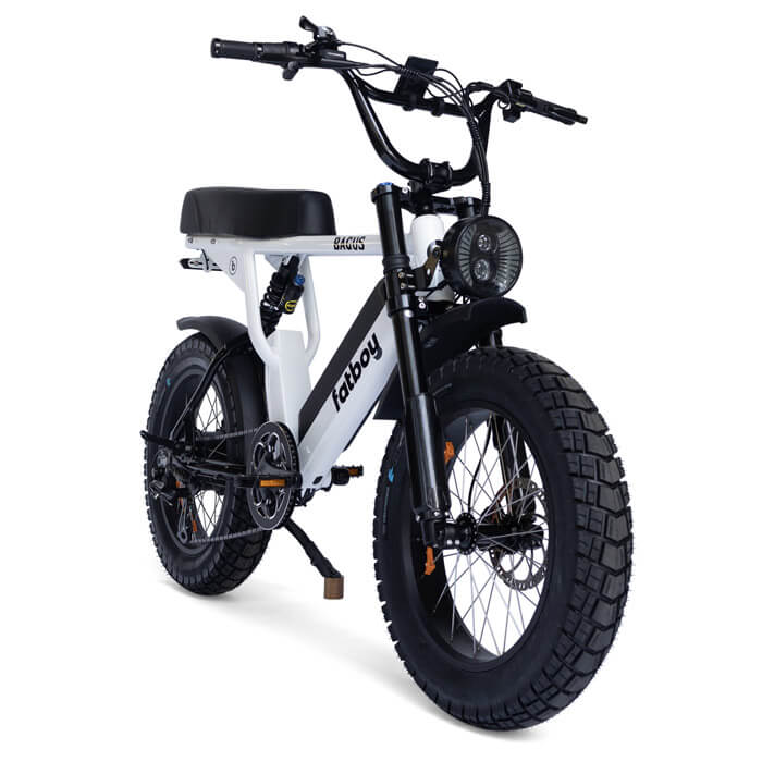 Fatboy electric two seater ebike Bagus White Front