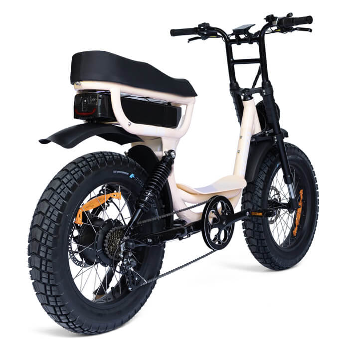 Fatboy electric two seater ebike Harlem Pink Back