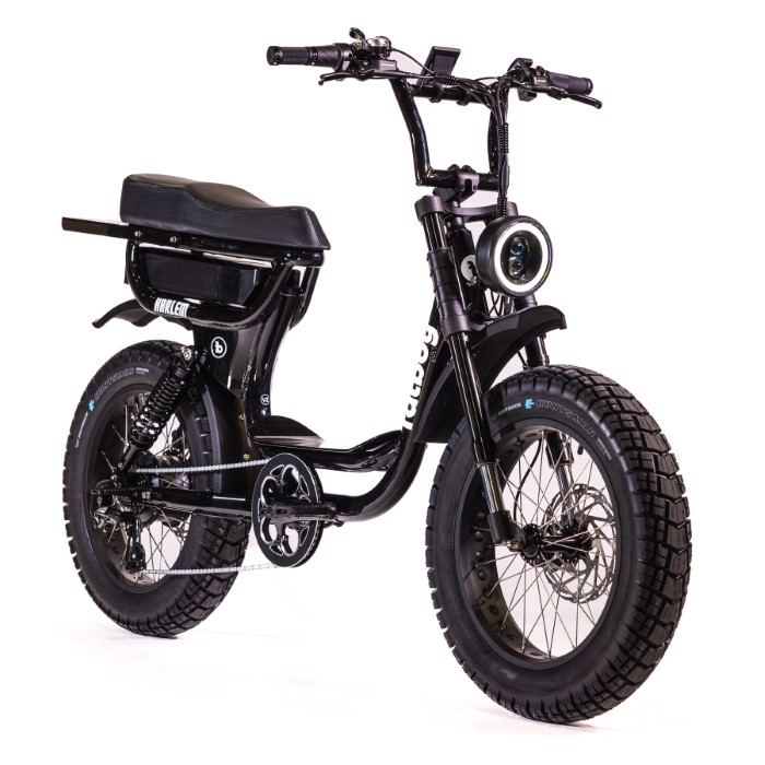 Fatboy V2 electric two seater ebike Harlem Black Front